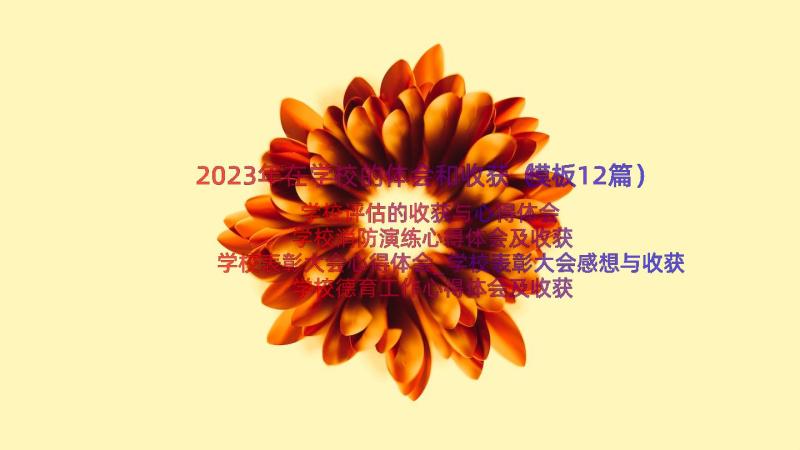 2023年在学校的体会和收获（模板12篇）