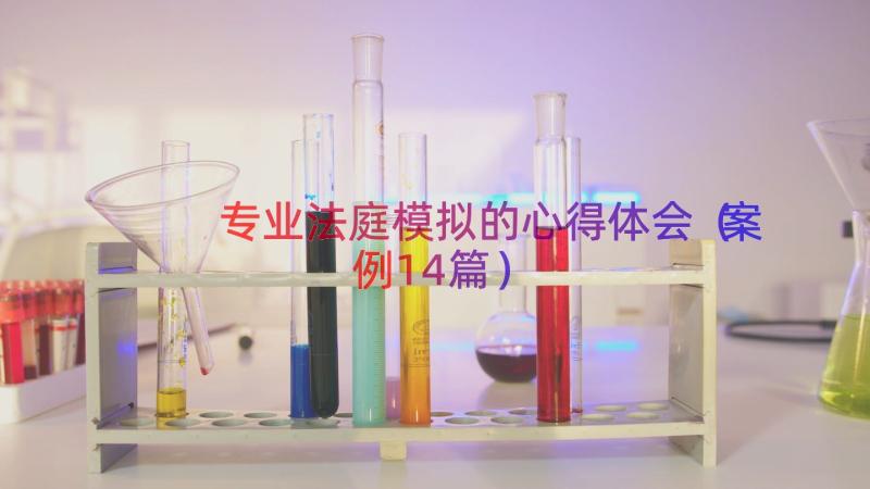 专业法庭模拟的心得体会（案例14篇）