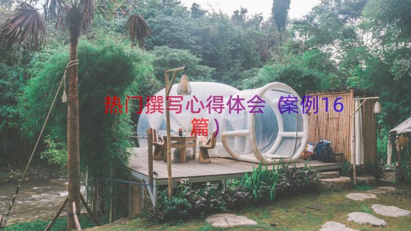 热门撰写心得体会（案例16篇）