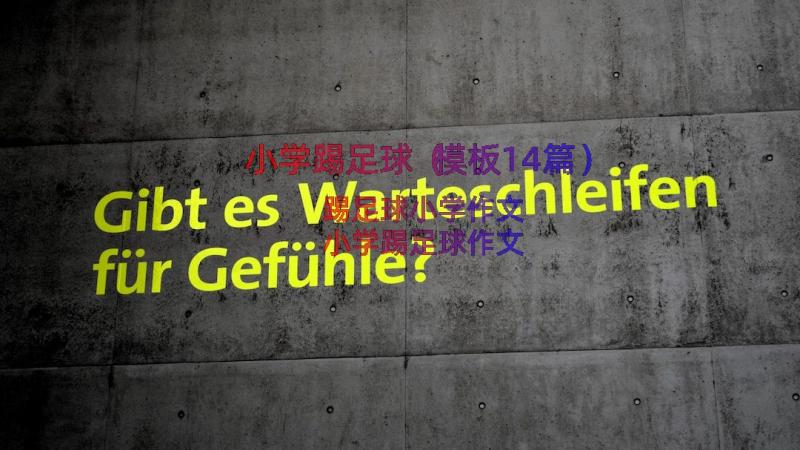 小学踢足球（模板14篇）
