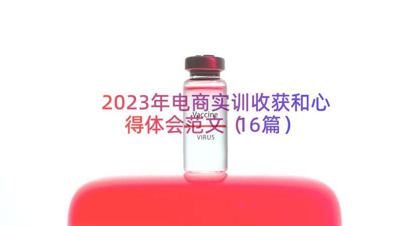 2023年电商实训收获和心得体会范文（16篇）