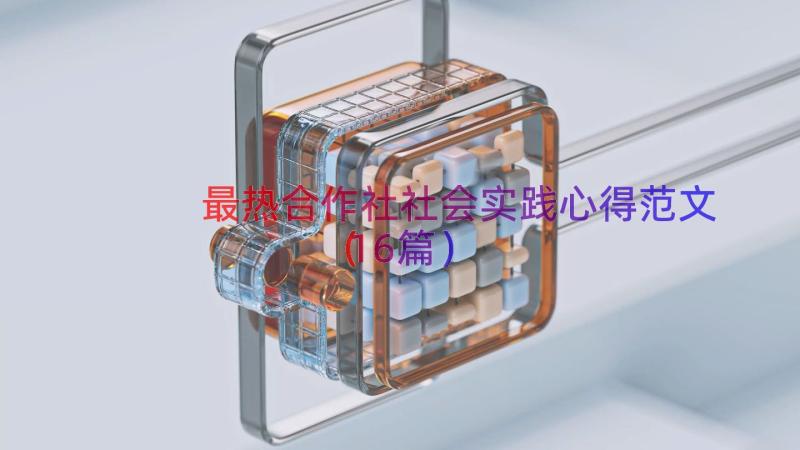 最热合作社社会实践心得范文（16篇）