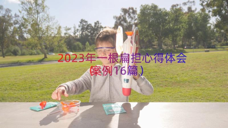 2023年一根扁担心得体会（案例16篇）