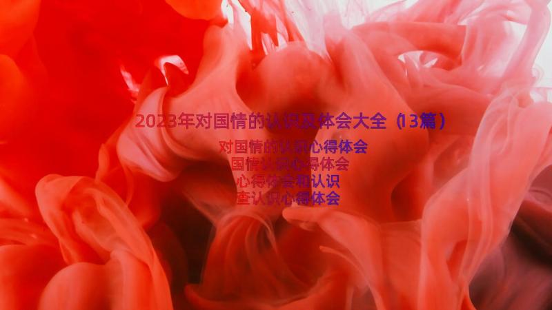 2023年对国情的认识及体会大全（13篇）