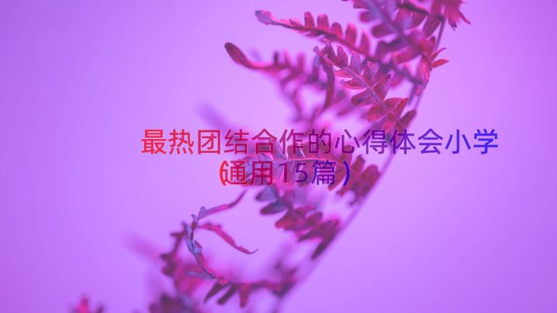 最热团结合作的心得体会小学（通用15篇）