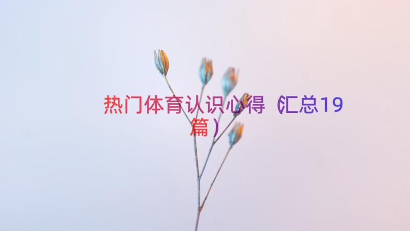 热门体育认识心得（汇总19篇）