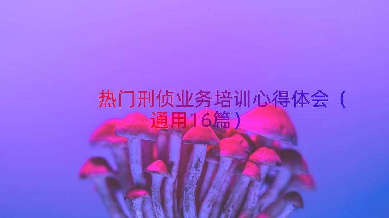 热门刑侦业务培训心得体会（通用16篇）