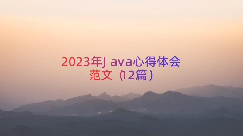 2023年Java心得体会范文（12篇）