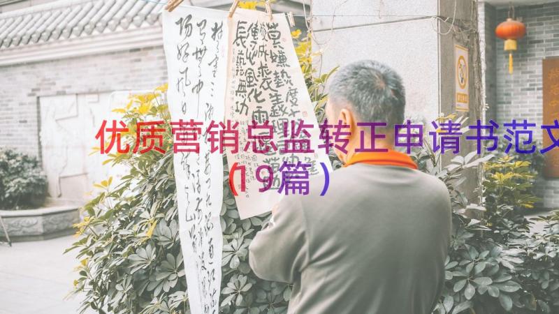 优质营销总监转正申请书范文（19篇）