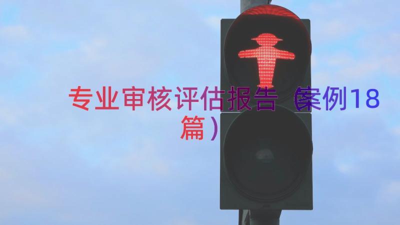 专业审核评估报告（案例18篇）