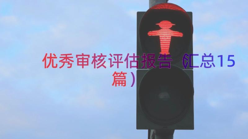 优秀审核评估报告（汇总15篇）