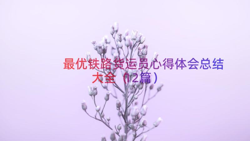 最优铁路货运员心得体会总结大全（12篇）