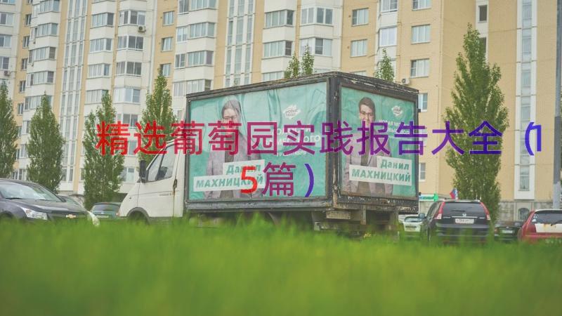 精选葡萄园实践报告大全（15篇）