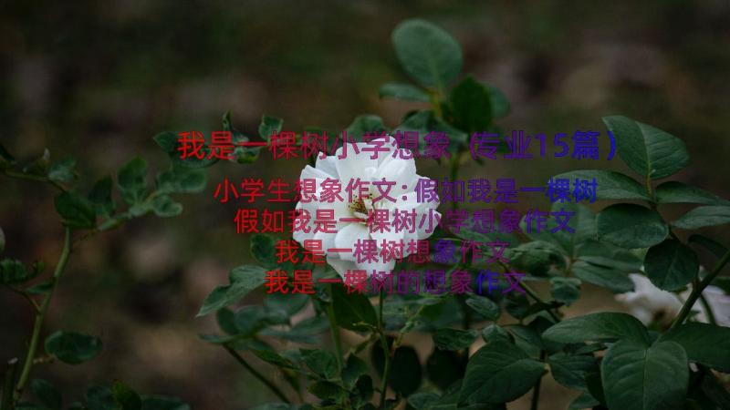 我是一棵树小学想象（专业15篇）