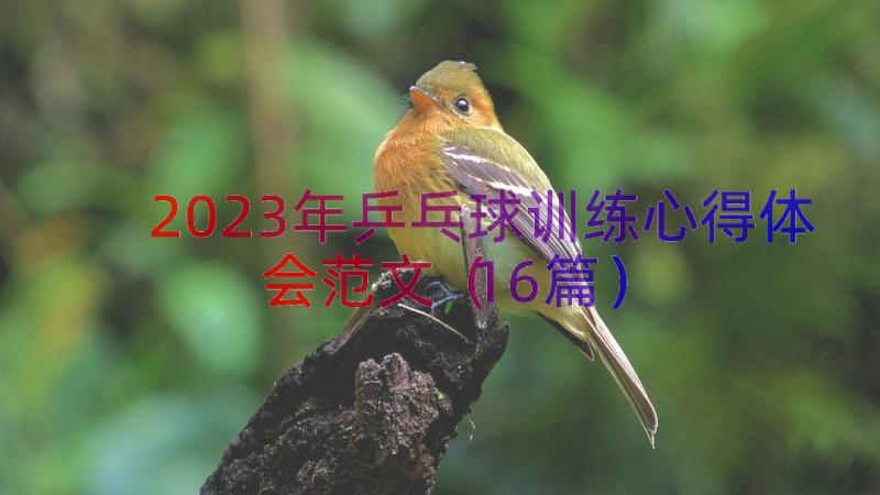 2023年乒乓球训练心得体会范文（16篇）