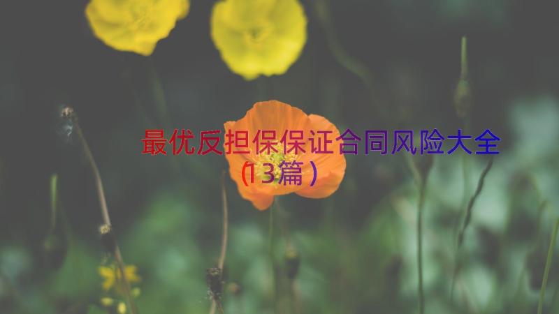 最优反担保保证合同风险大全（13篇）