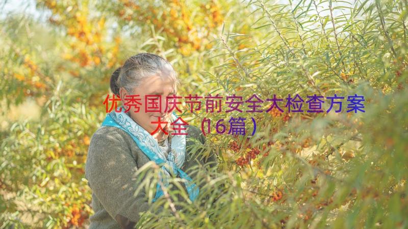 优秀国庆节前安全大检查方案大全（16篇）