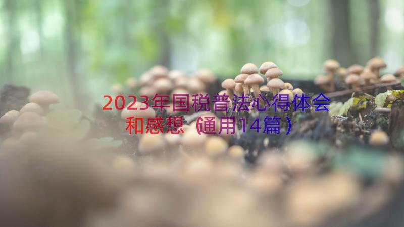 2023年国税普法心得体会和感想（通用14篇）