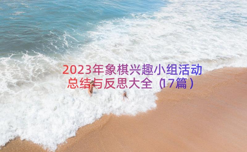 2023年象棋兴趣小组活动总结与反思大全（17篇）