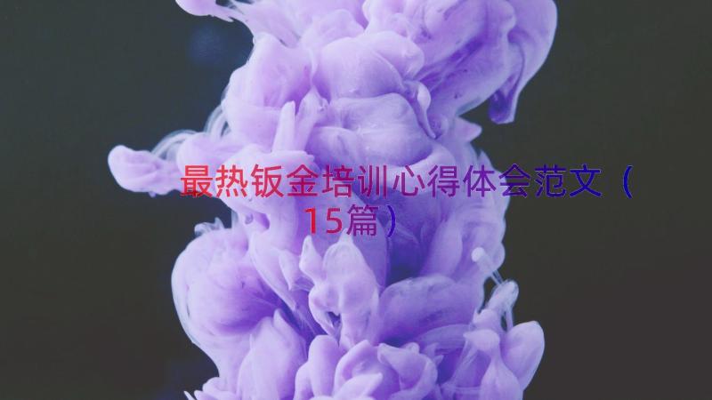 最热钣金培训心得体会范文（15篇）