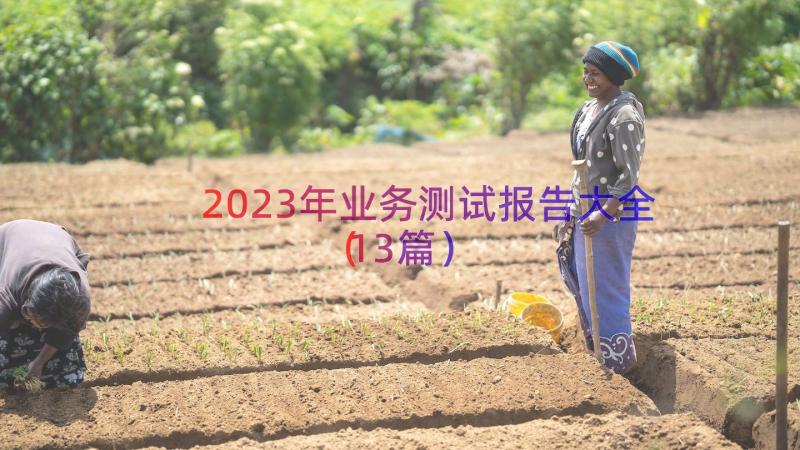 2023年业务测试报告大全（13篇）