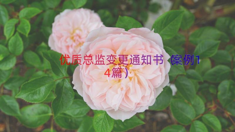 优质总监变更通知书（案例14篇）