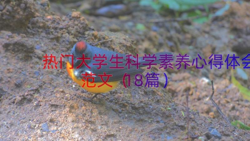 热门大学生科学素养心得体会范文（18篇）