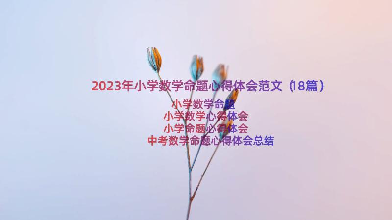 2023年小学数学命题心得体会范文（18篇）