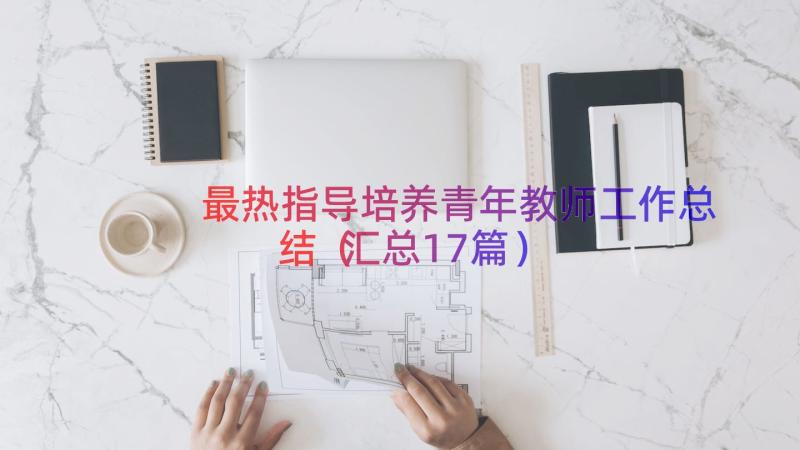 最热指导培养青年教师工作总结（汇总17篇）