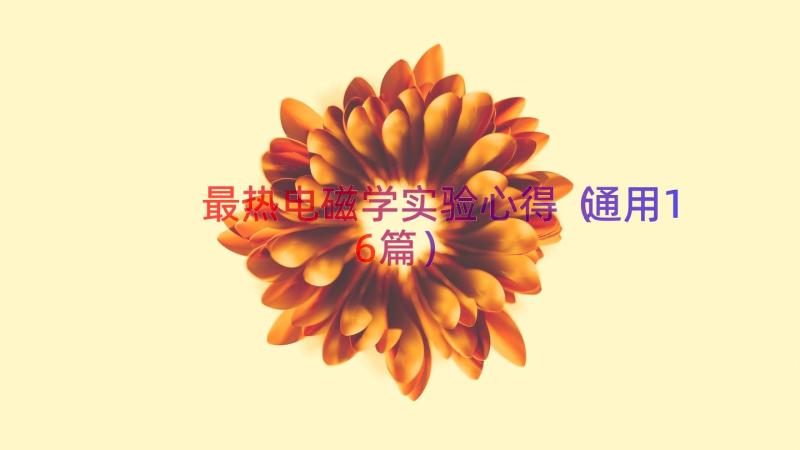 最热电磁学实验心得（通用16篇）