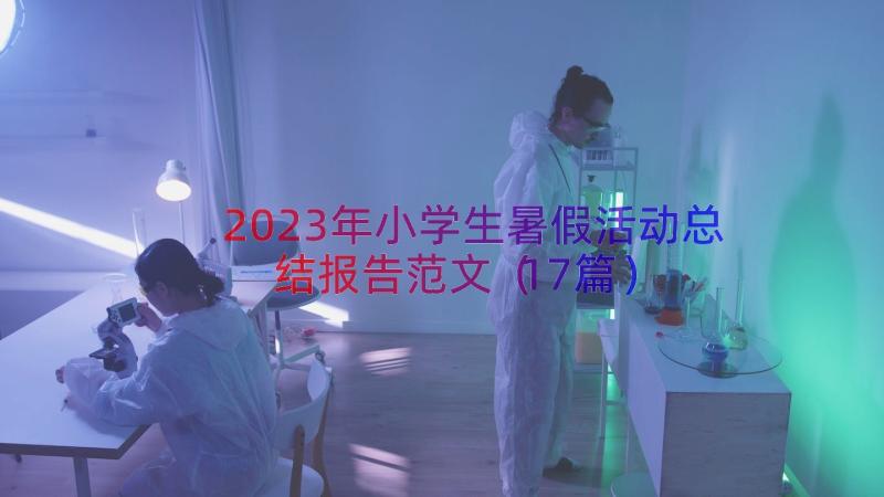 2023年小学生暑假活动总结报告范文（17篇）