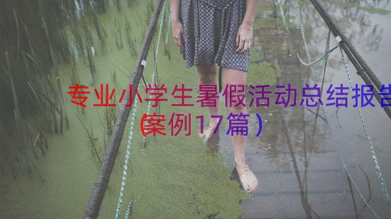 专业小学生暑假活动总结报告（案例17篇）