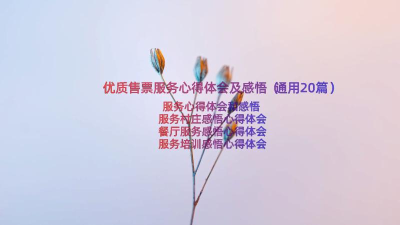 优质售票服务心得体会及感悟（通用20篇）