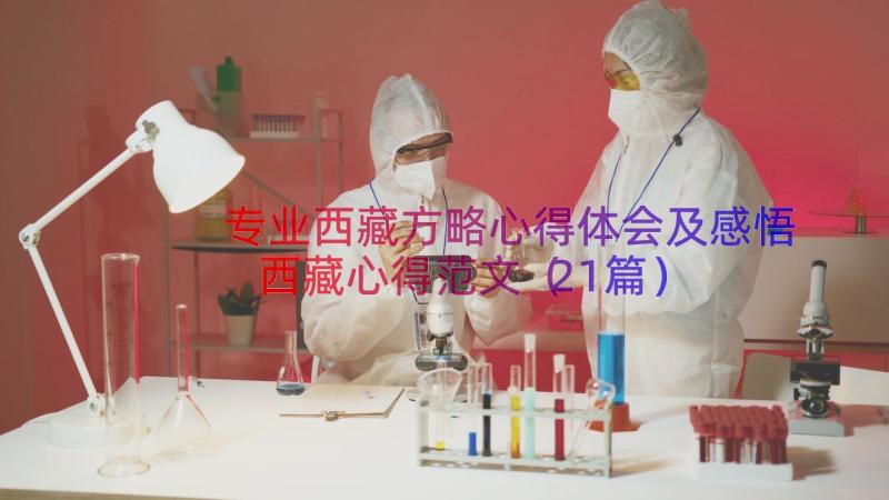 专业西藏方略心得体会及感悟西藏心得范文（21篇）