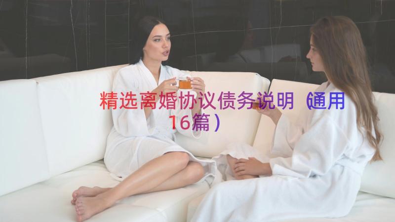 精选离婚协议债务说明（通用16篇）