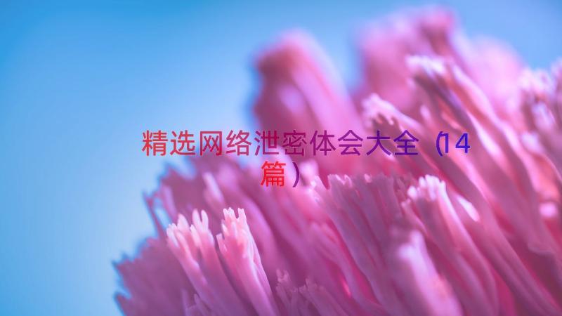 精选网络泄密体会大全（14篇）