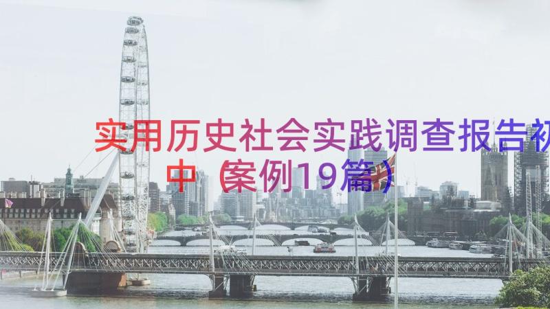 实用历史社会实践调查报告初中（案例19篇）