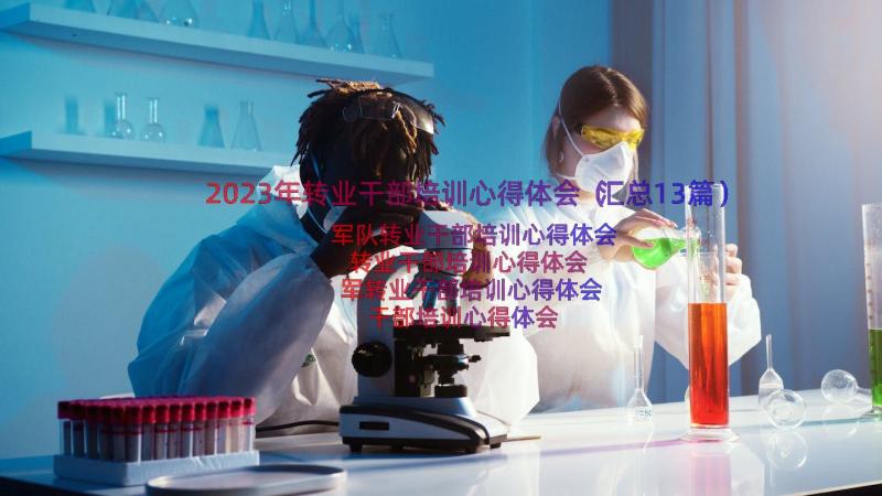 2023年转业干部培训心得体会（汇总13篇）