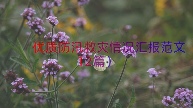 优质防汛救灾情况汇报范文（12篇）