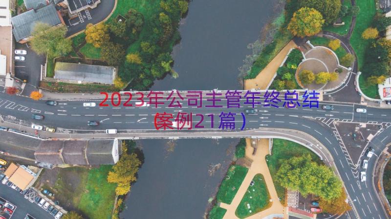 2023年公司主管年终总结（案例21篇）