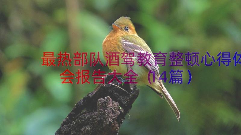 最热部队酒驾教育整顿心得体会报告大全（14篇）