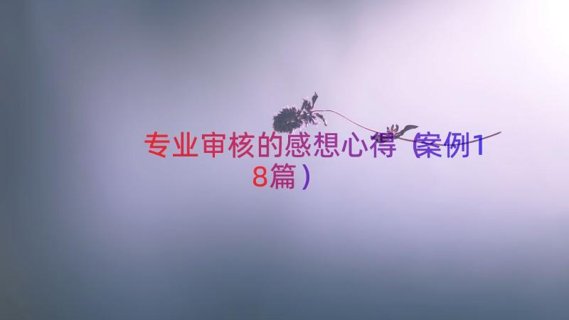 专业审核的感想心得（案例18篇）