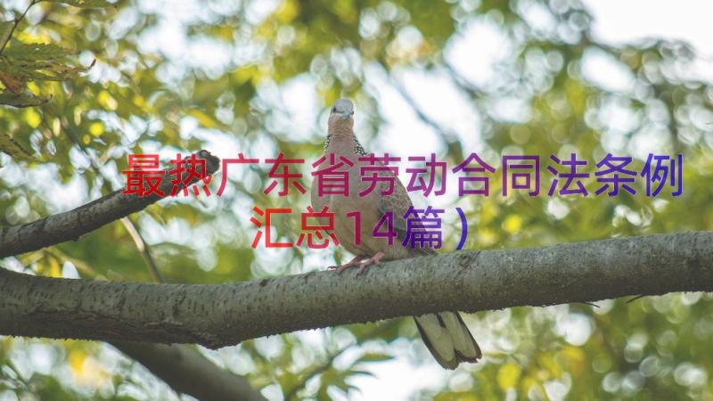 最热广东省劳动合同法条例（汇总14篇）