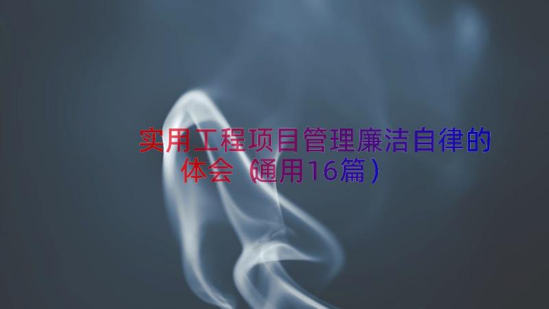 实用工程项目管理廉洁自律的体会（通用16篇）