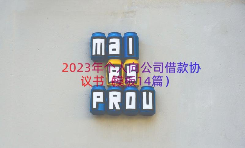 2023年个人向公司借款协议书（模板14篇）