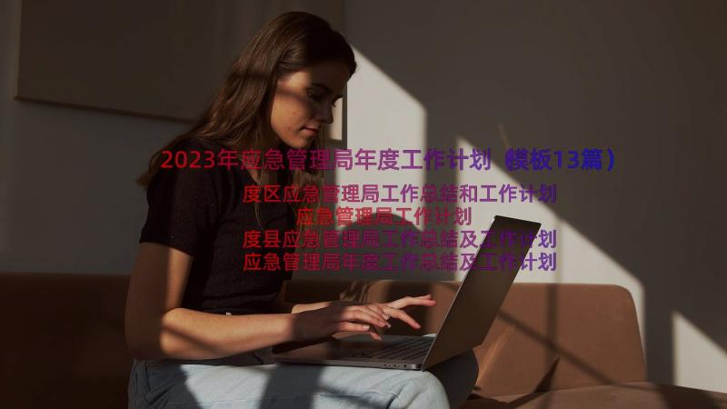 2023年应急管理局年度工作计划（模板13篇）