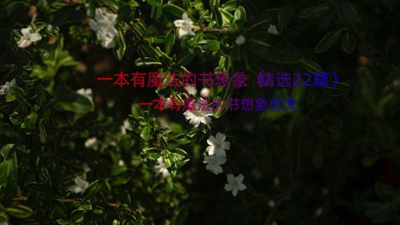 一本有魔法的书想象（精选22篇）