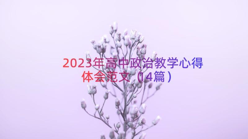 2023年高中政治教学心得体会范文（14篇）