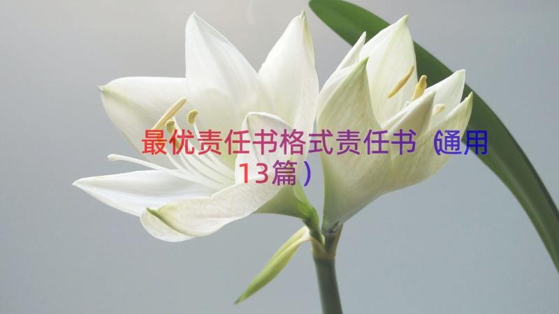 最优责任书格式责任书（通用13篇）