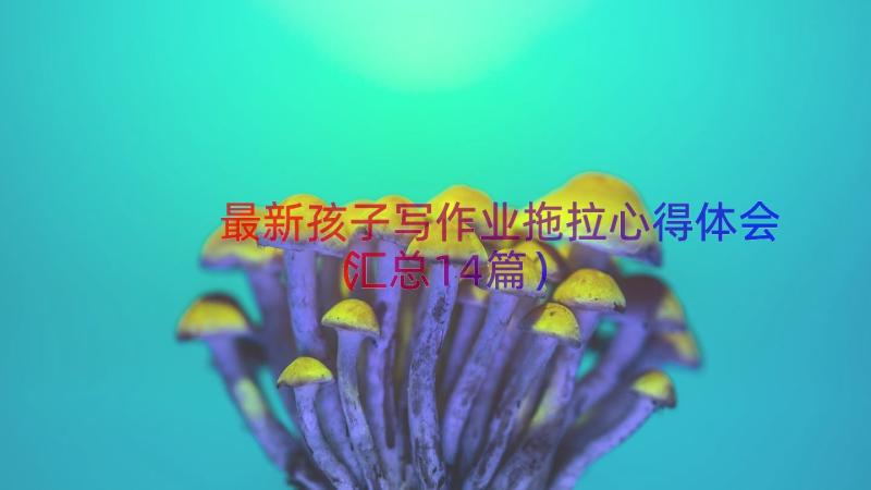 最新孩子写作业拖拉心得体会（汇总14篇）